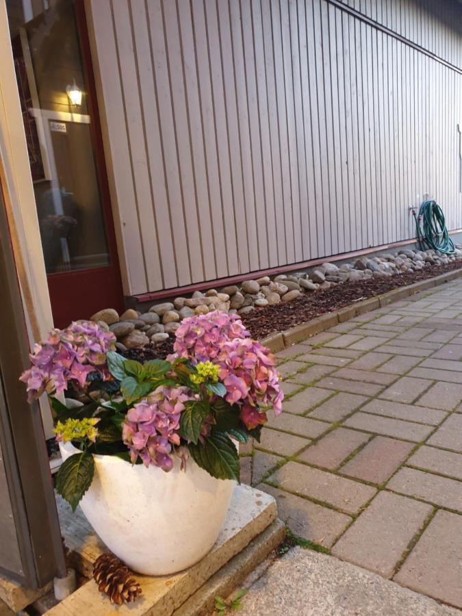 Norppa Resort Nyslott Exteriör bild